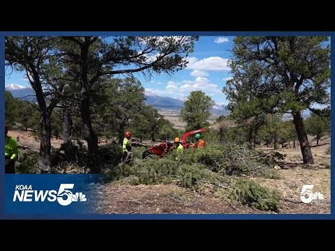 Inmates aid in fire mitigation through Department of Corrections program