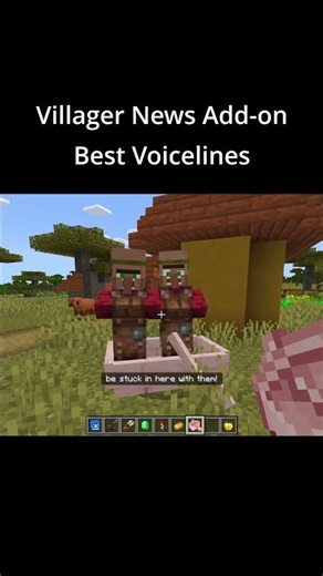 VILLAGER NEWS ADD-ON BEST VOICELINES