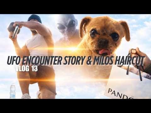 I Shared My 2nd Alien Encounter, Dog Walk, Westfield, Gym & Milo's Haircut!