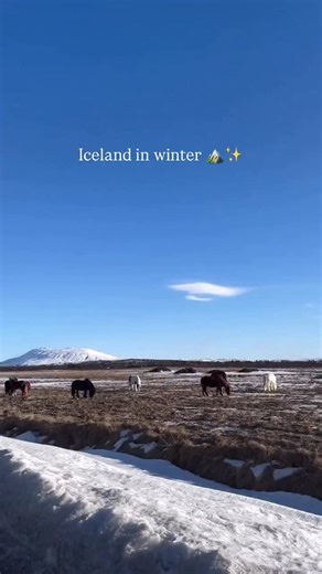 Iceland 🇮🇸 Travel | Hotels | Food | Tips on Instagram: "@valeriastva showed us how breathtaking Iceland looks during Christmas 🎅🏼✨ Tag someone you’d love to spend Christmas hiking with in Iceland 💗 🌟 3 Must-Visit Christmas Hiking Experiences in Iceland: 1️⃣ Fimmvörðuháls Trail – Hike through stunning landscapes of glaciers, volcanic mountains, and waterfalls 2️⃣ Reykjadalur Hot Springs – A beautiful hike leading to a natural hot spring where you can relax in the warm waters surrounded by s