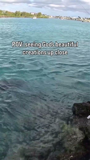 God’s beautiful creation