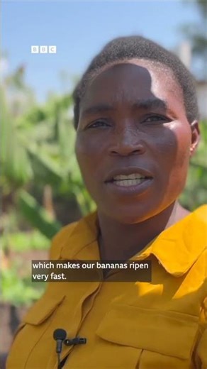 🍌🍷 Have you heard of banana wine? - BBC World Service #shorts