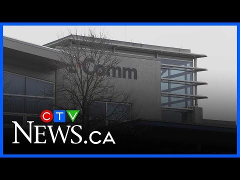 The most unusual 911 calls of 2025