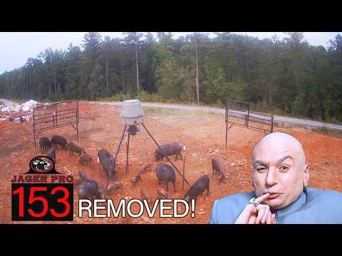 JAGER PRO® | 153 HOGS REMOVED!