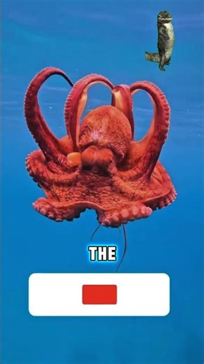 Earth’s Real-Life Alien🐙🦑🌍