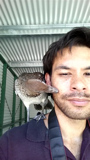 Staying informed and continuously updating your knowledge on the H5N1 avian influenza virus is critical for protecting both wildlife and public health.