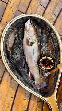Making a Wooden Fishing Net and Catching Trout #fishing