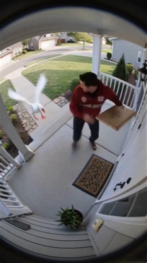 Pizza Courier Attacked by Goose at Front Door 😱