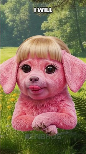 Girls Do Not Care about Looks