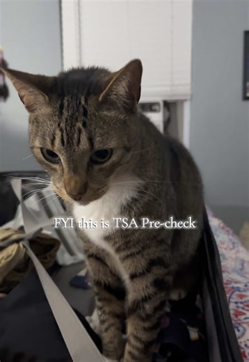 Understanding TSA Pre-Check Benefits for Travelers