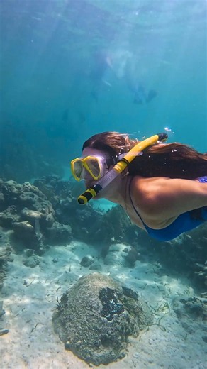 Find your paradise in the Caribbean — our 2028 voyages are now open for sale. Effortlessly hop between sun-drenched islands while relaxing on white-sand shore, diving into crystal clear waters and soaking in vibrant cultures. Enjoy our Early Booking Bonus, including up to $300 https://t.co/tXSxF8frmI
