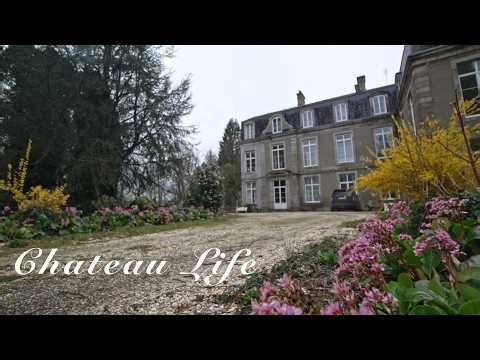 Trespassers Causing Problems - Chateau Life 🏰 468