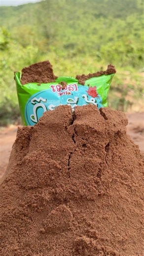 Effective Survival Skills for the Forest