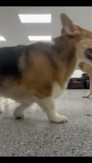 dance party at daycare!