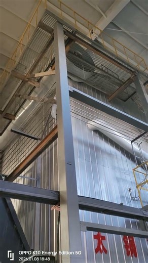 SZL biomass boiler project cases