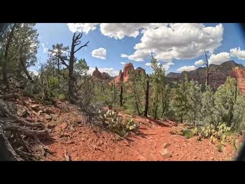 Brin’s Mesa Highlight Reel