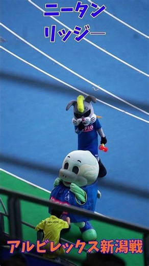 【子どもと触れ合う⚽】サッカー大分トリニータ「ニータン＆リッジ―」が歩くよ｜アルビレックス新潟戦2026【Jリーグ クラサスドーム大分】 #shorts