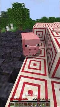 Minecraft but chunks are random 😭