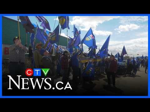 Elections Alberta ready to verify separation petition signatures
