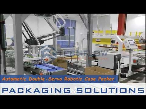 Automatic Double Servo Robotic Case Packer | Techflow Robotic Packaging Solutions