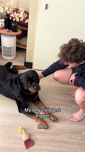 Idk why… #dogs #pets #funny #puppy | Rottweiler
