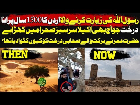 The Sahabi Tree in Jordan Still Fresh From 1500 Years Ago !!