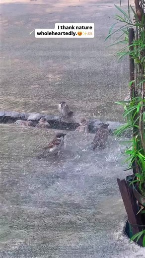 Smart Robot Dance Moves