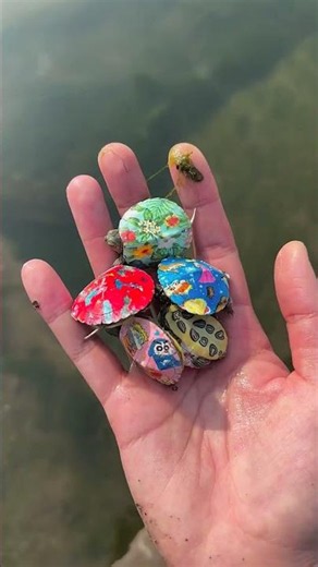 He Found Baby Turtles Floating in the Water 🐢