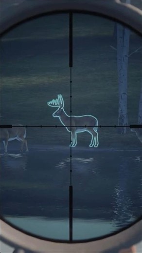 Max Score DIAMOND Whitetail! - Call of the Wild Gameplay