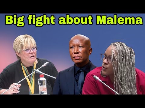 DA Breytenbach & EFF Mathys fight about Malema court sentencing.