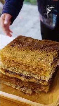 Traditional Herbal Toothpaste Made by Stone Grinding for Gentle Daily Oral Care Routine