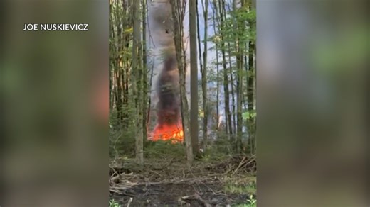 WKBN looks back: Top news stories of 2025