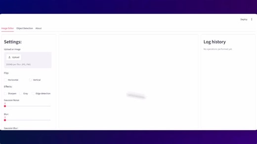 Image Editor and Object Detection with Python and YOLO | Arsham Jamali posted on the topic | LinkedIn