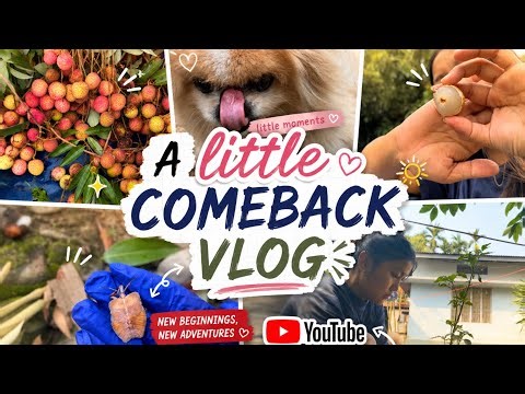 A little comeback vlog nobody asked for but here it is ❤️🎥😁 @FamilyVlogs2024-nk