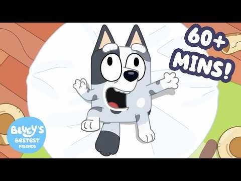 60+ MINS of Bluey + friends! 💙 | Muffin Sleepover! 🩶💤 | Bluey's Bestest Friends - Official Channel