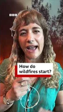 How do wildfires start? - BBC World Service #shorts