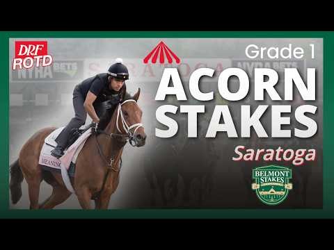 G1 Acorn Preview | Can Always a Runner Stay Undefeated? | DRF Friday ROTD | June 5, 2026