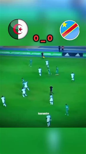 Algeria vs. Democratic Republic of Congo Match Highlights
