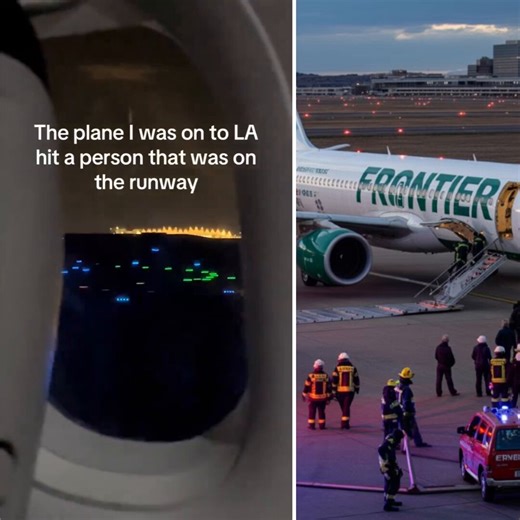 @pweiser Denver International Airport perimeter jumper swallowed by aircraft on runway.Now Coloradans demand to know, was it an Illegal Alien or a homeless drug addict?
