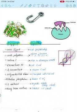 🧬 Top DNA Enzymes u Must Know 4 Exams #Biotechnology #DNAEnzymes #ScienceShorts #StudyTips