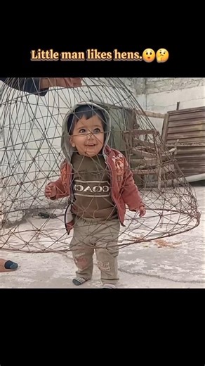 He likes birds birdcage.