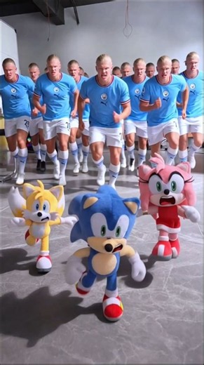 Who Can Help Sonic Escape Haaland? #sonicthehedgehog #sonic