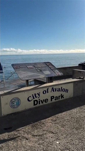 Catalina Island Dive Park | Explore Beneath the Surface