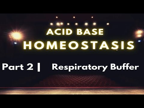 ⚖️Acid Base Homeostasis 🏡2 :⭕ Respiratory Buffer 🫁