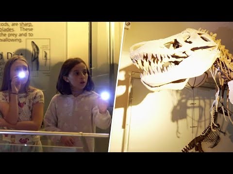 ‘Night at the Museum’ Returns at New York City Landmark