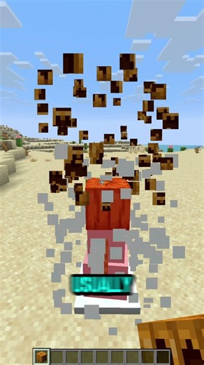 2 Truths 1 Lie | Part 26 #minecraft