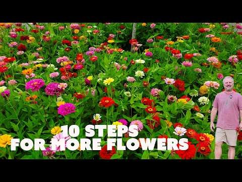 10 Steps for MORE Flowers and Vegetables in Your Garden