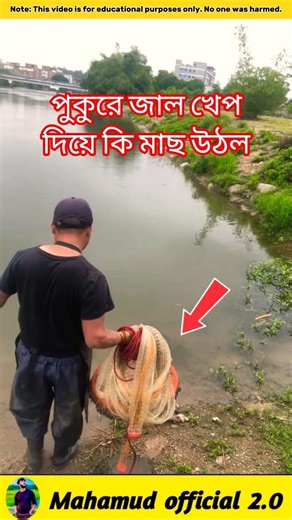 What fish was caught in the pond net? 🐟#fishinglife #facts #shorts #shortvideo #viral #viralvideo