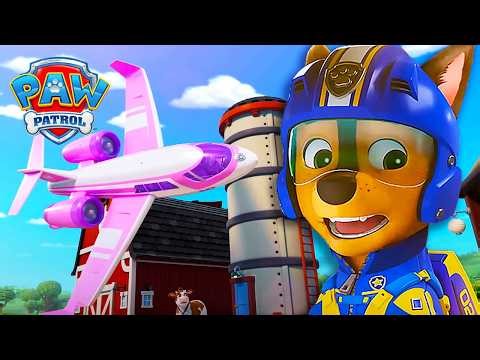 Sweetie Causes Airport Chaos! ✈️ Chase to the Rescue | PAW Patrol Episode | Compilation
