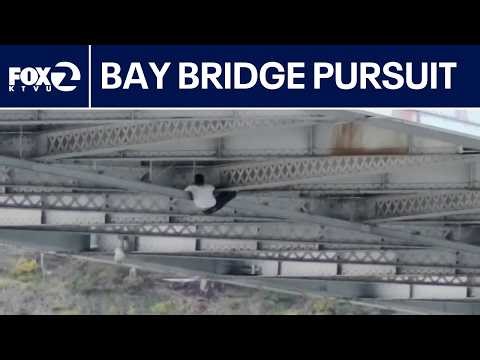 Suspect makes death-defying stunt to evade officers on Bay Bridge | KTVU